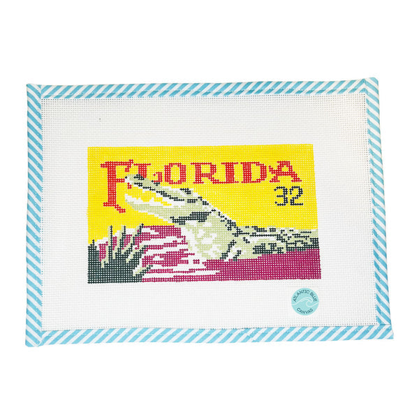 Florida Alligator