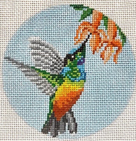 Golden Bellied Starfrontlet Hummingbird