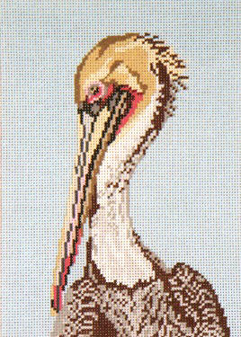 Brown Pelican Head