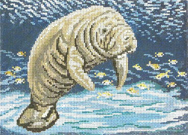 Manatee At Sea