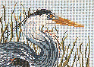 Great Blue Heron Head