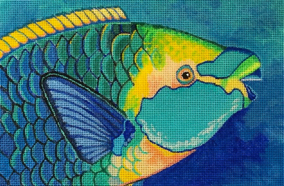 Green Mouthed Parrotfish