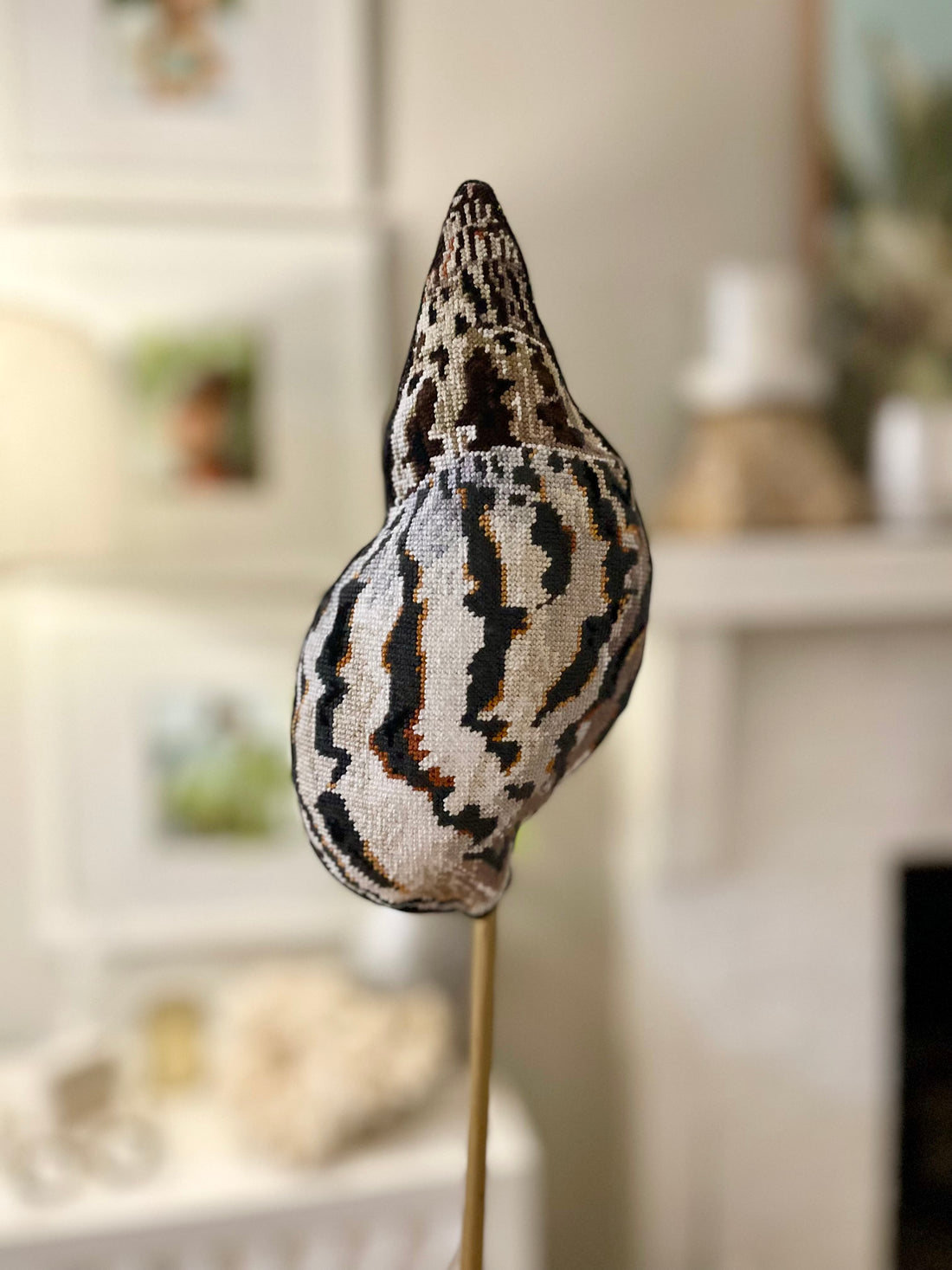Seashell