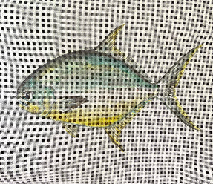 AN541 - Mahi