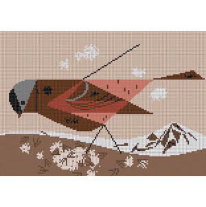 Charley Harper Gray Crowned Rosy Finch