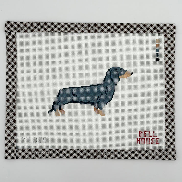 Dachshund - Black & Tan