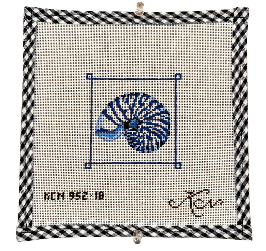 Giant Banded Snail Shell