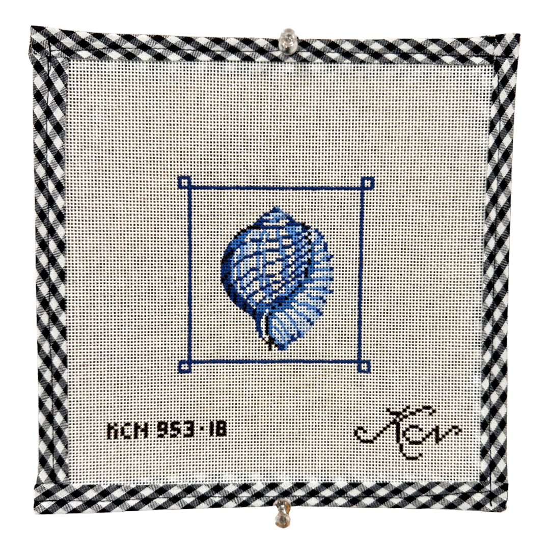 Tiger Chambered Nautilus