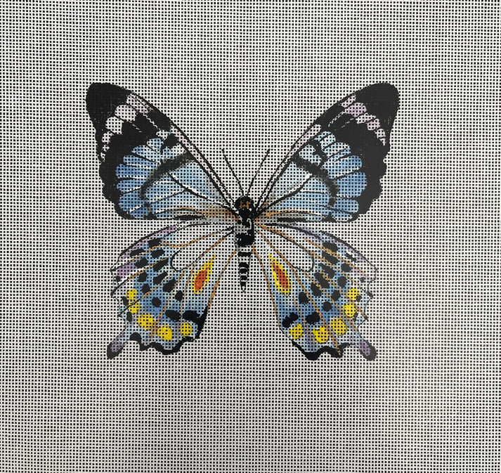 AN450 - Butterfly