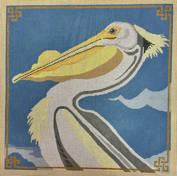 American Pelican